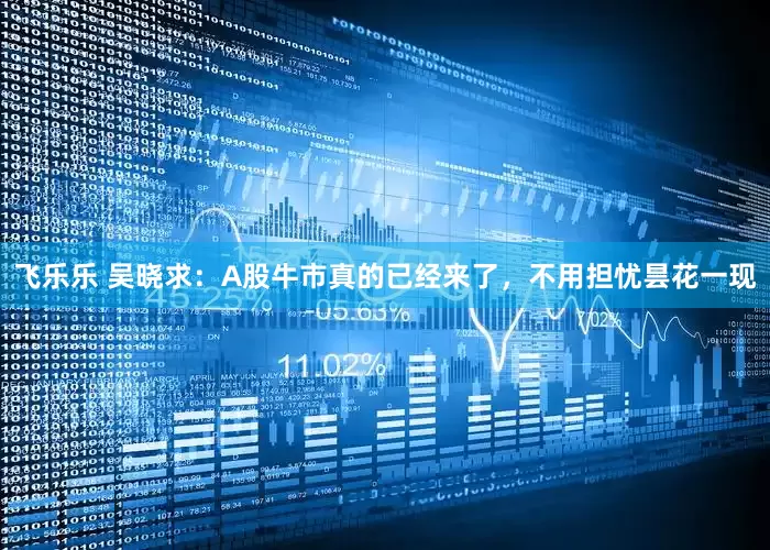 飞乐乐 吴晓求：A股牛市真的已经来了，不用担忧昙花一现